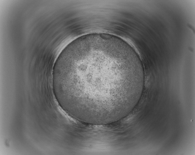 X0000103160903200809121835