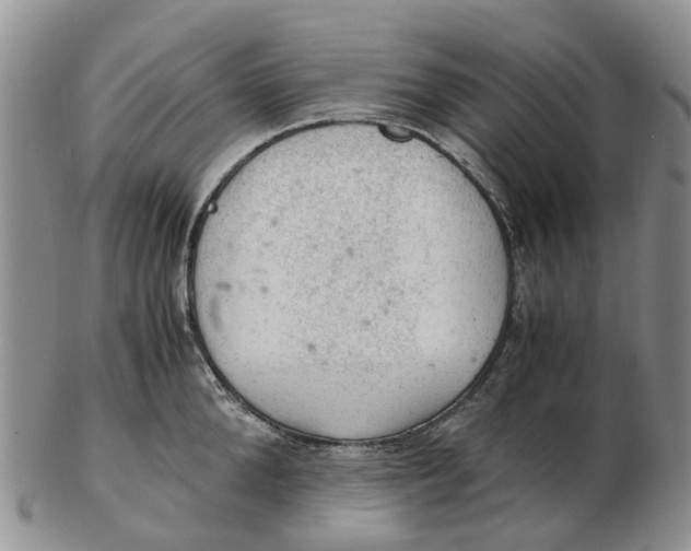 X0000103160904200809121835