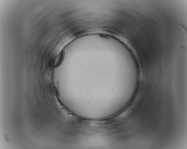 X0000103160905200809121835