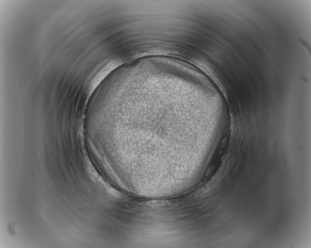 X0000103160906200809121835