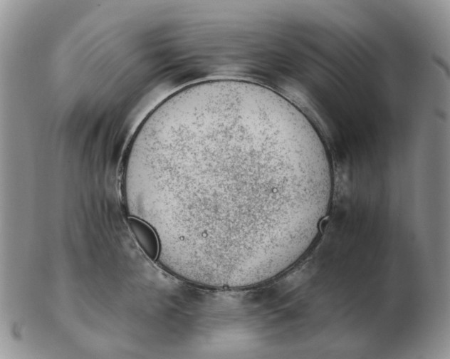 X0000103160908200809121835