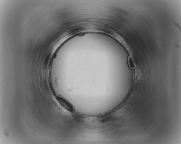 X0000103160909200809121835