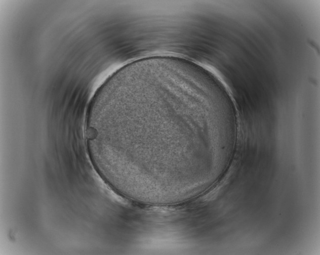 X0000103160910200809121835