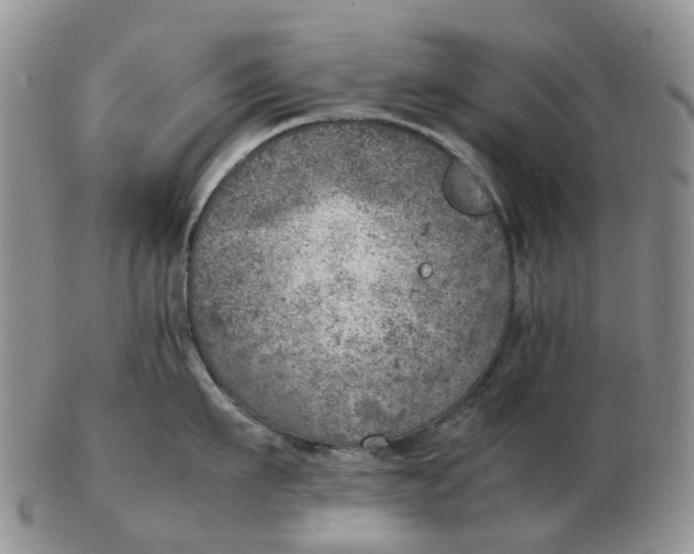 X0000103160911200809121835