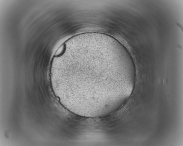 X0000103160912200809121835