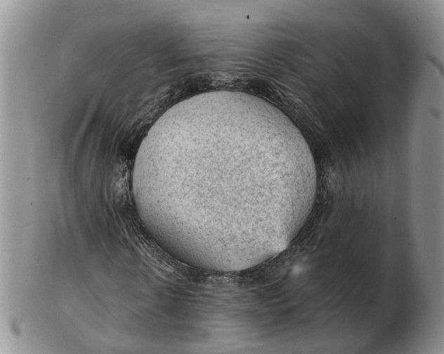 X0000103160914200809121835