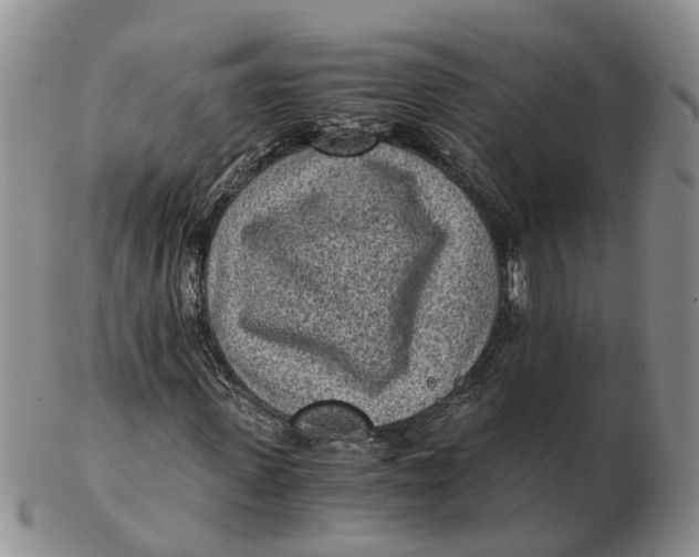 X0000103160915200809121835