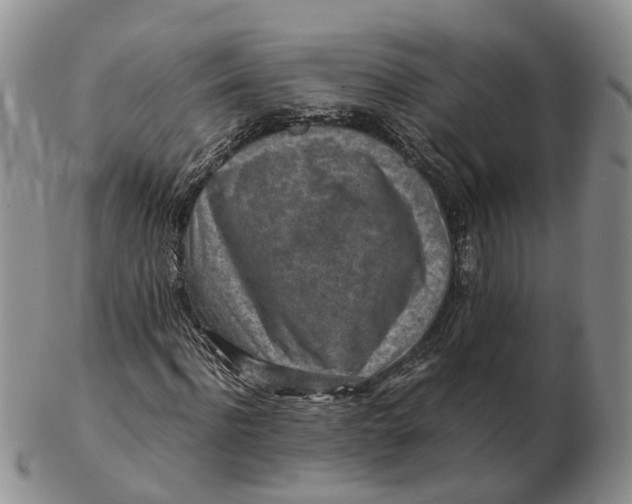 X0000103160916200809121835