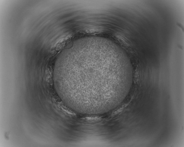 X0000103160917200809121835