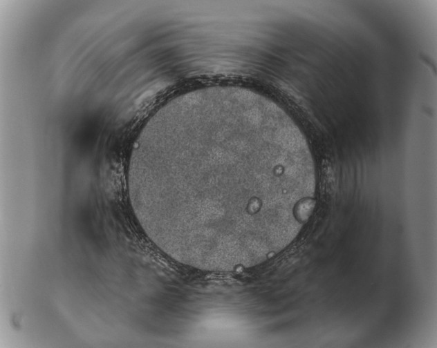 X0000103160918200809121835