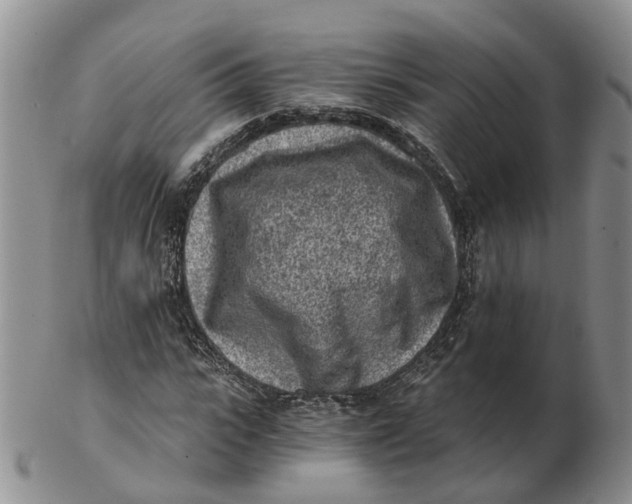 X0000103160919200809121835