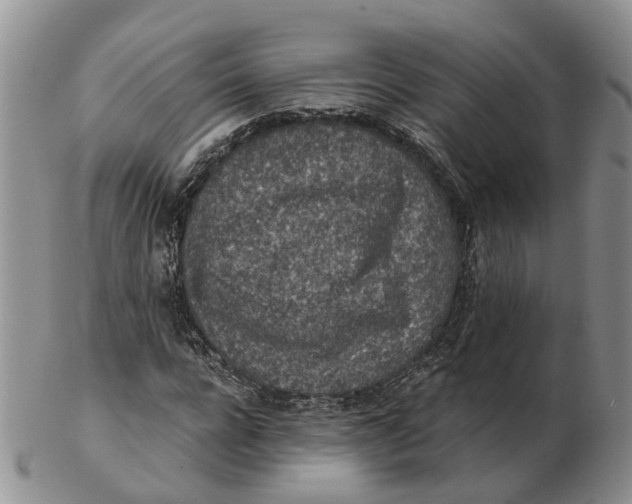 X0000103160920200809121835