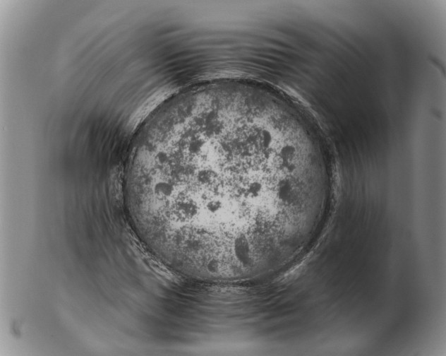 X0000103160921200809121835