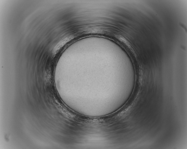 X0000103160922200809121835