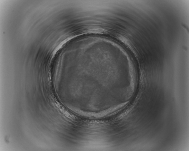 X0000103160923200809121835