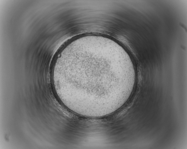 X0000103160924200809121835