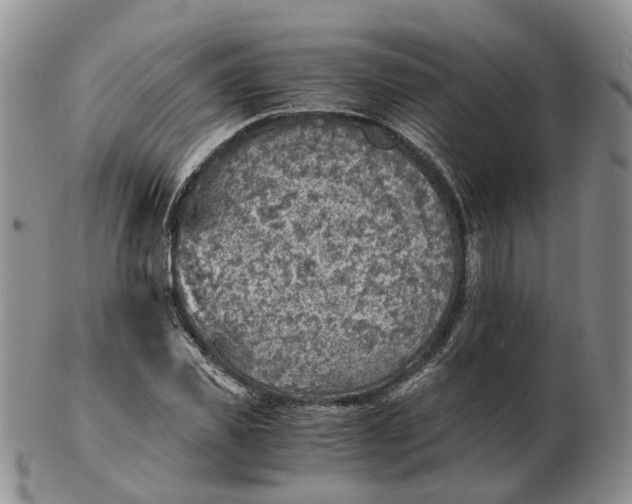 X0000103160925200809121835