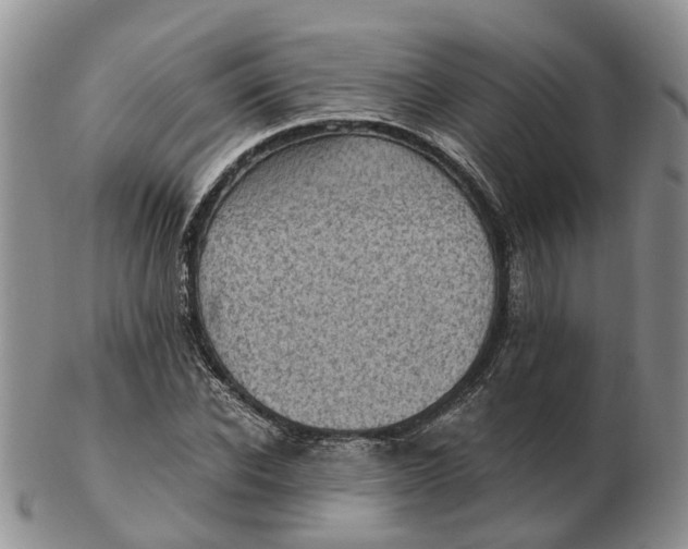 X0000103160926200809121835