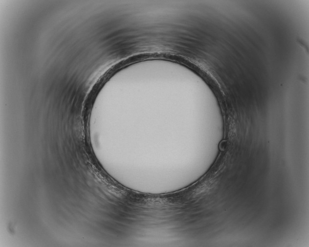 X0000103160927200809121835