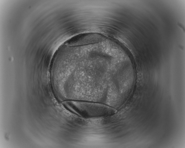 X0000103160928200809121835