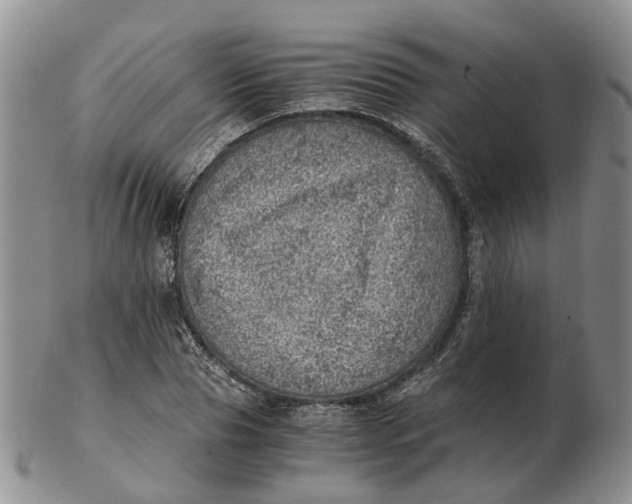 X0000103160929200809121835