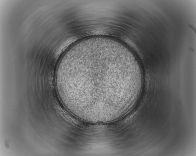 X0000103160930200809121835