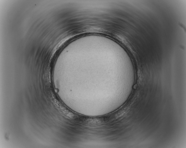 X0000103160931200809121835