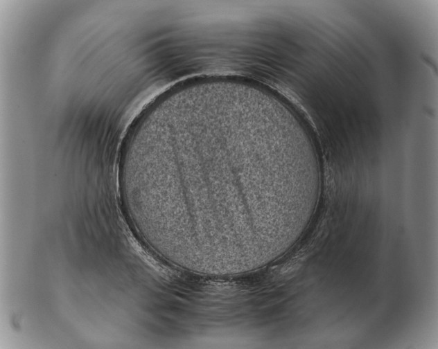 X0000103160935200809121835