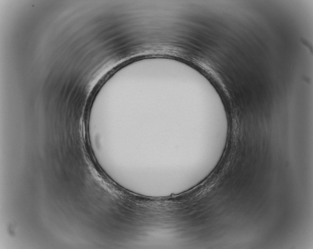 X0000103160936200809121835