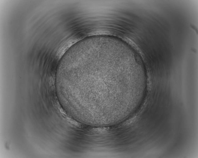 X0000103160937200809121835