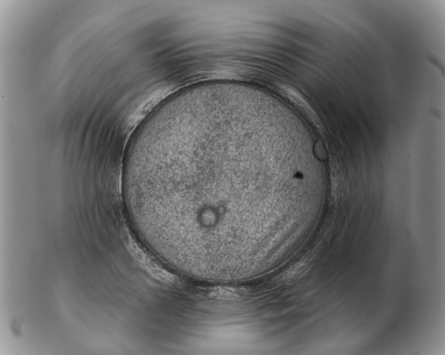 X0000103160938200809121835