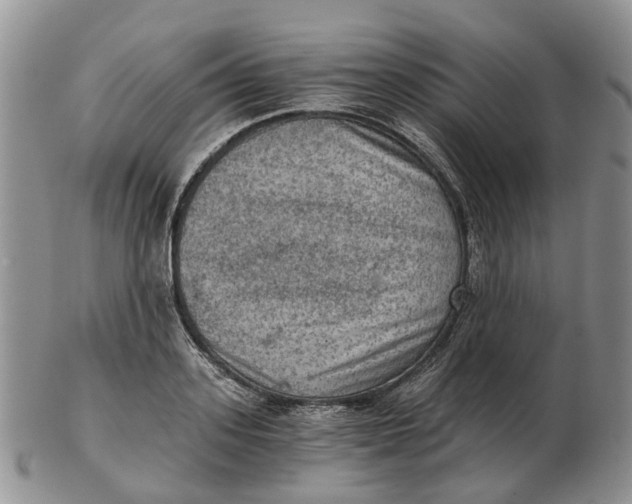 X0000103160939200809121835