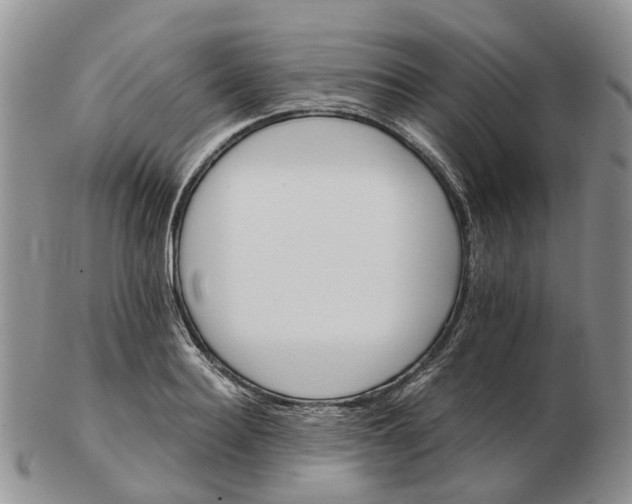 X0000103160940200809121835