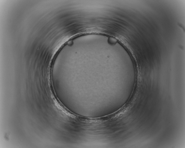 X0000103160941200809121835