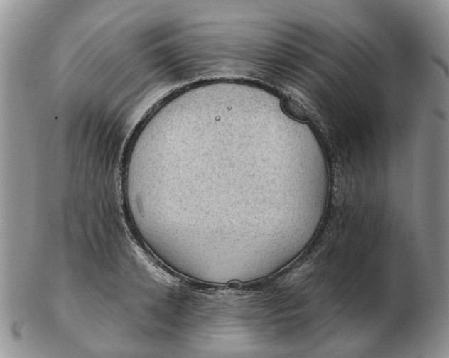 X0000103160942200809121835