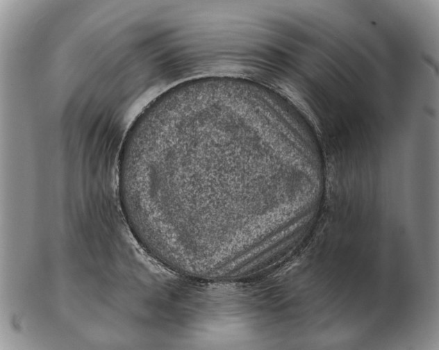 X0000103160944200809121835