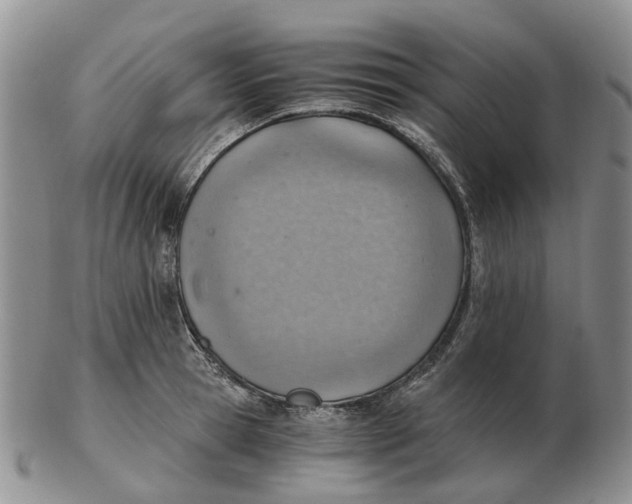 X0000103160945200809121835