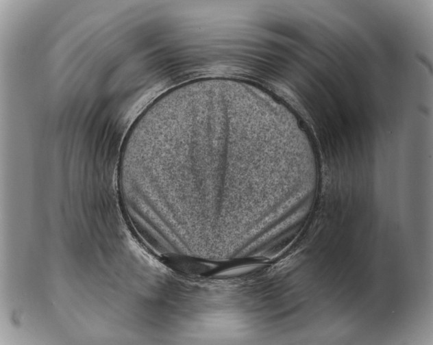 X0000103160946200809121835