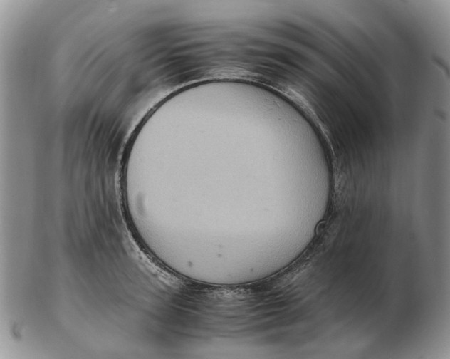 X0000103160947200809121835