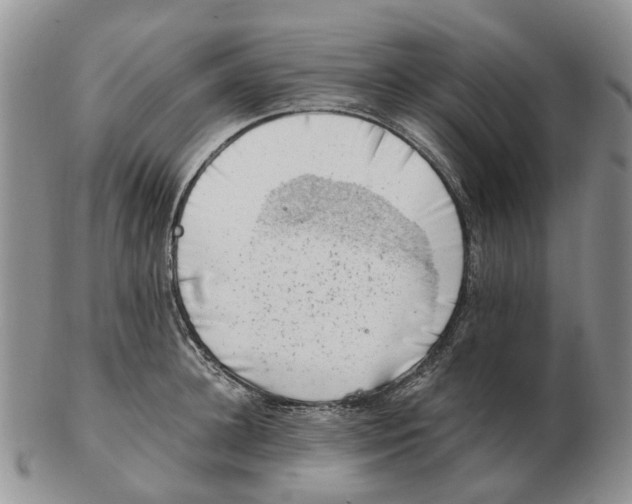 X0000103160948200809121835