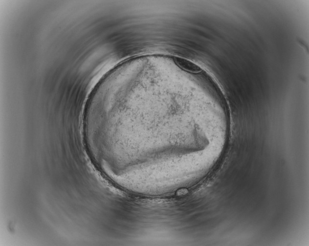 X0000103160949200809121835