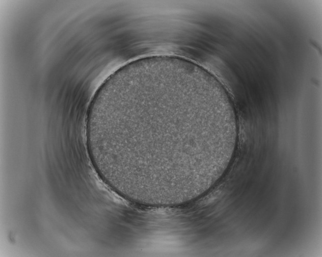 X0000103160950200809121835