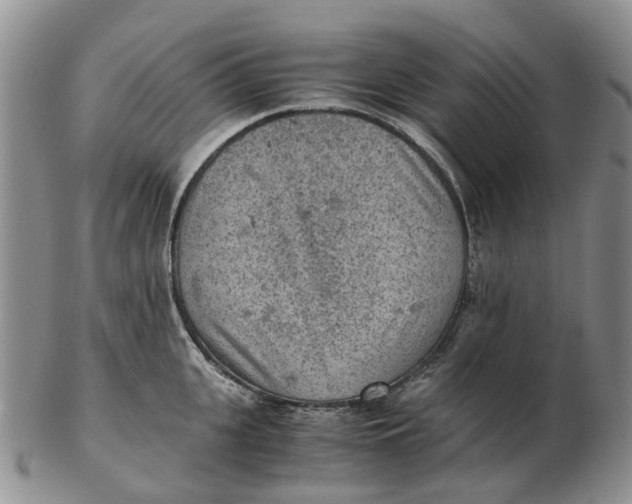 X0000103160951200809121835