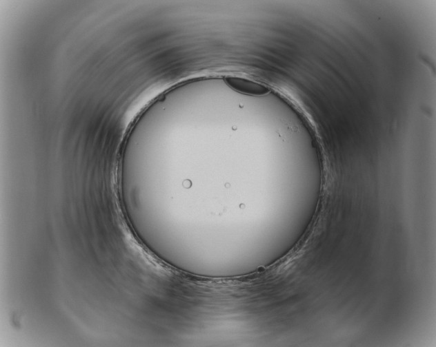 X0000103160952200809121835