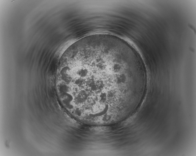 X0000103160953200809121835