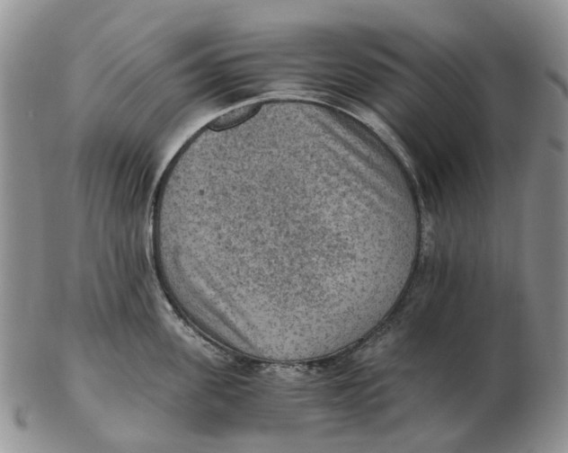 X0000103160955200809121835