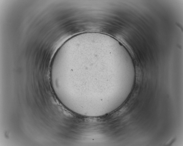 X0000103160956200809121835