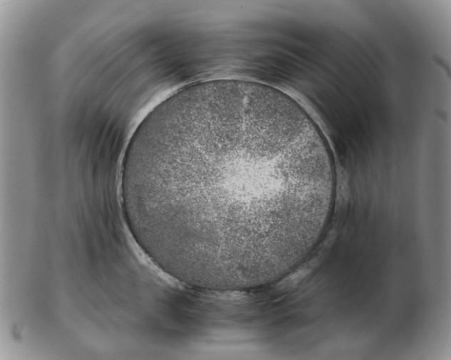 X0000103160957200809121835