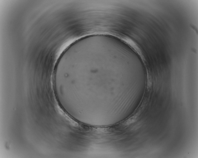 X0000103160958200809121835