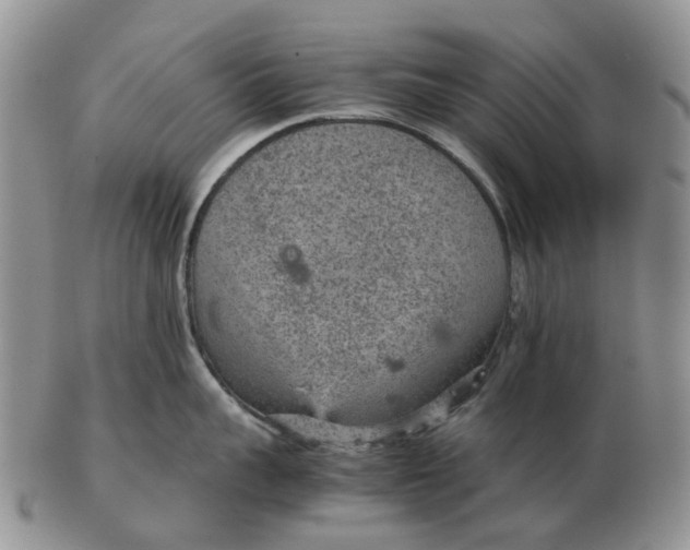 X0000103160959200809121835